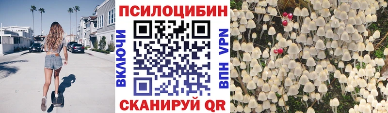 купить   Норильск  Галлюциногенные грибы мухоморы 