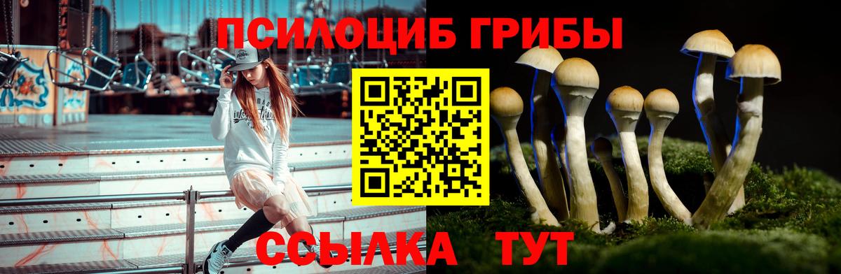 Псилоцибиновые грибы GOLDEN TEACHER  Вход с VPN  Псилоцибиновые грибы Magic Shrooms  Норильск 